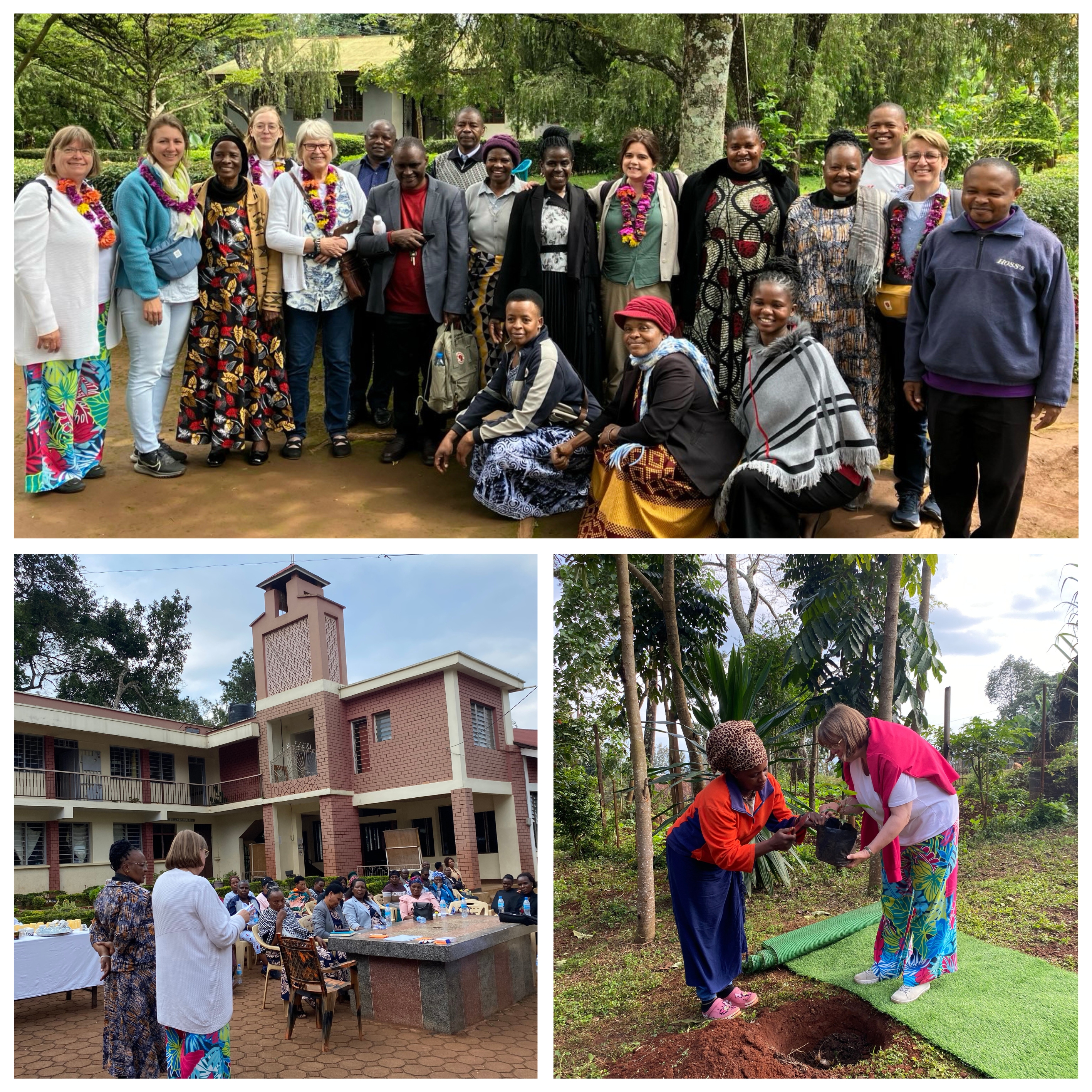 Willkommen, Andacht, Hoffnungsbäume, das Programm der ersten Woche Willkommen, Andacht, Hoffnungsbäume, das Programm der ersten Woche