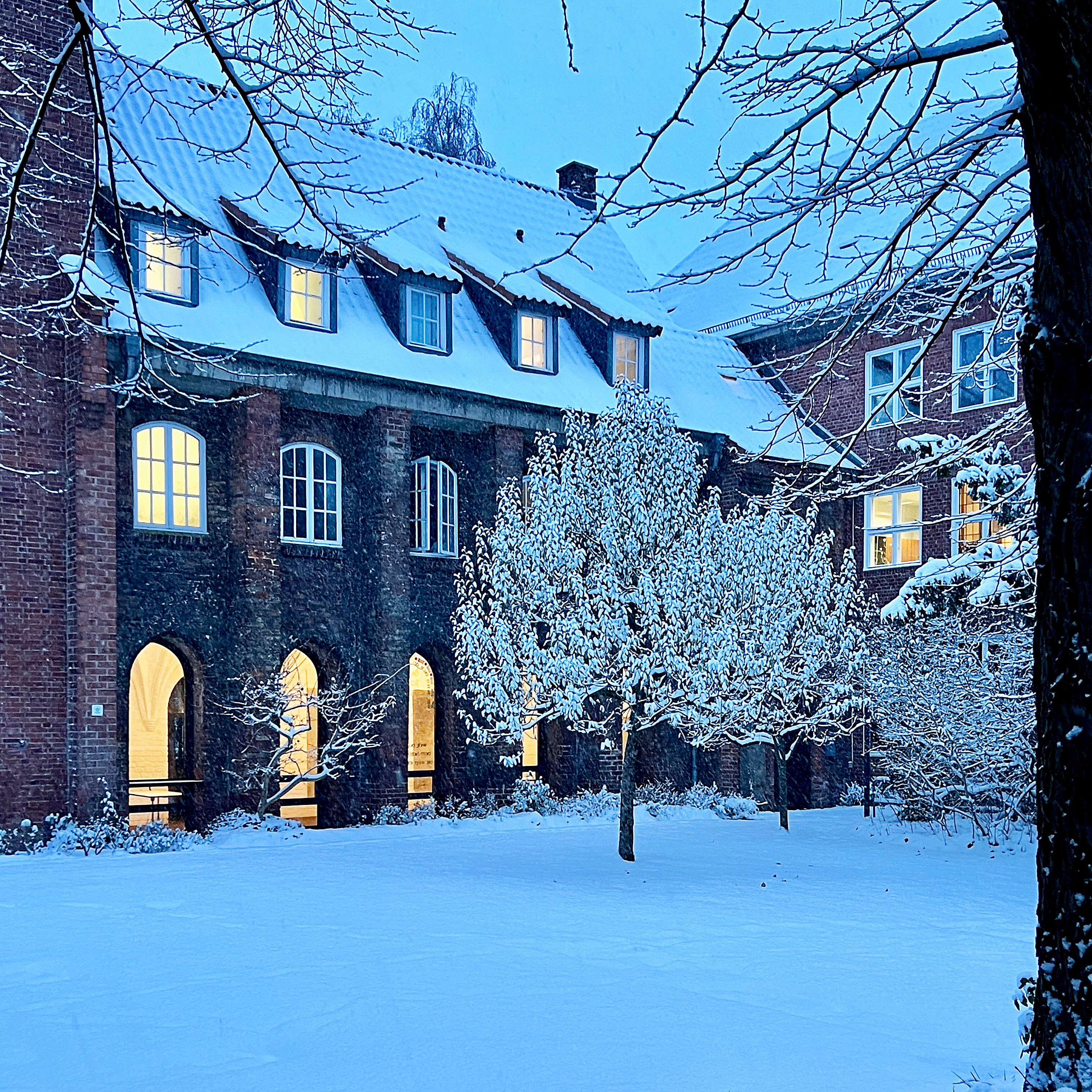Klostergarten Kiel im Schnee