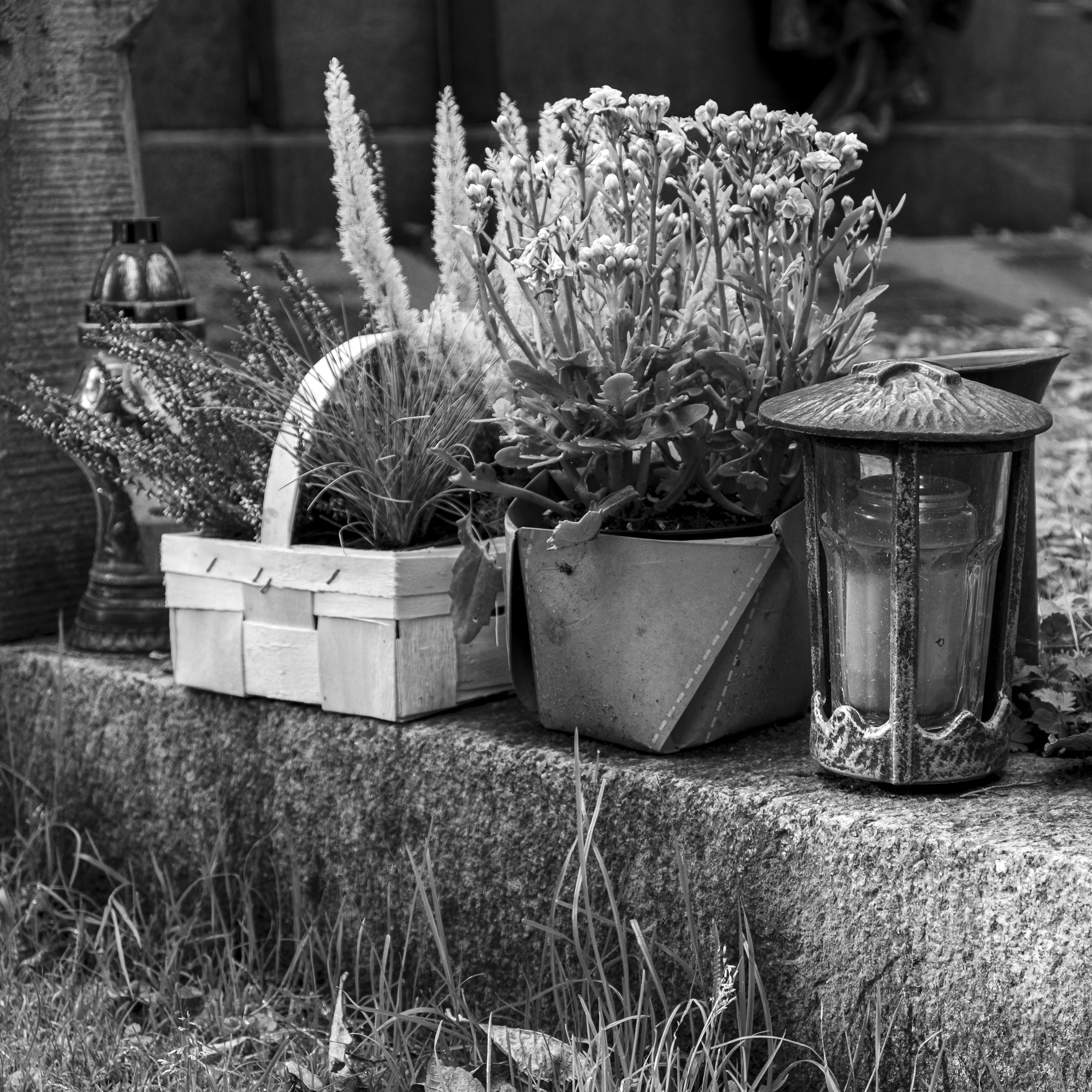 Laterne und Herbstblumen